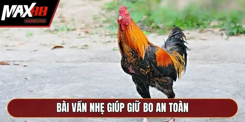 Bài vần nhẹ giúp giữ bo an toàn