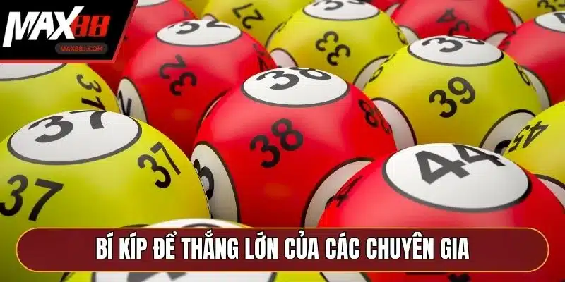 Bí kíp để thắng lớn của các chuyên gia