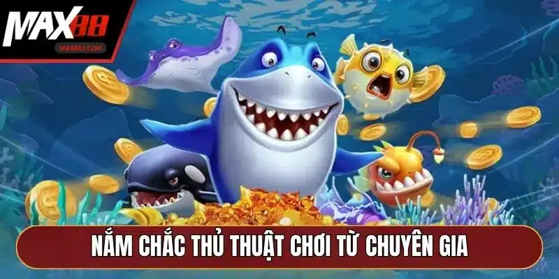 Nắm chắc thủ thuật chơi từ chuyên gia 