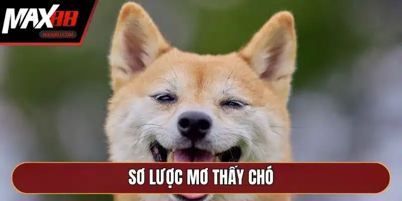 Sơ lược mơ thấy chó