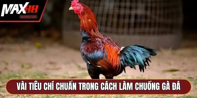 Vài tiêu chí chuẩn trong cách làm chuồng gà đá