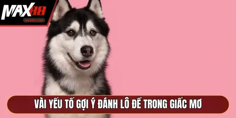 Vài yếu tố gợi ý đánh lô đề trong giấc mơ