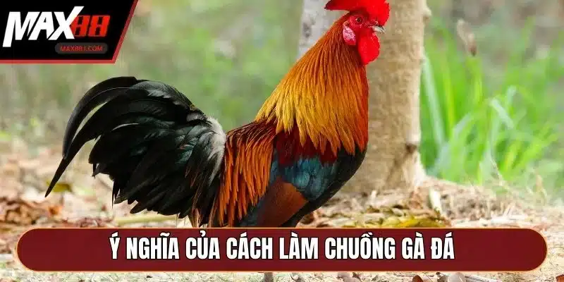 Ý nghĩa của cách làm chuồng gà đá